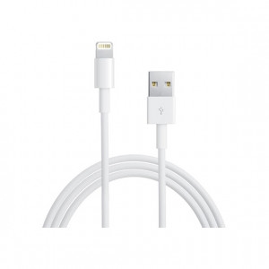 Apple Lightning to USB Cable - 0.5m