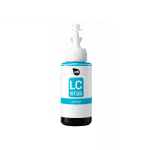 Epson T673 Ink Bottle