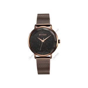 Titan Workwear 95184QM01 Quartz Analog Stainless Steel Women's Watch