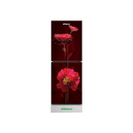 Minister M-175G Maroon Peony Refrigerator - 175L
